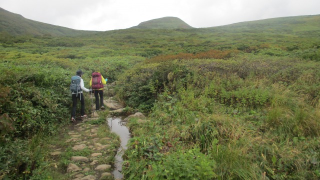 山頂めざし姥石平を行く640