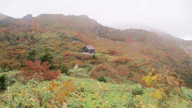 淡い紅葉の中の焼山避難小屋640