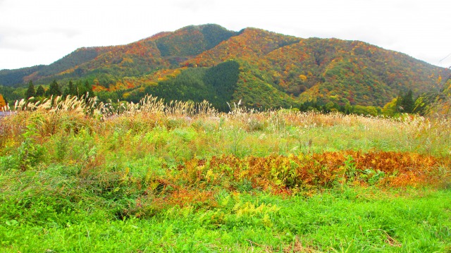 女助山全景640