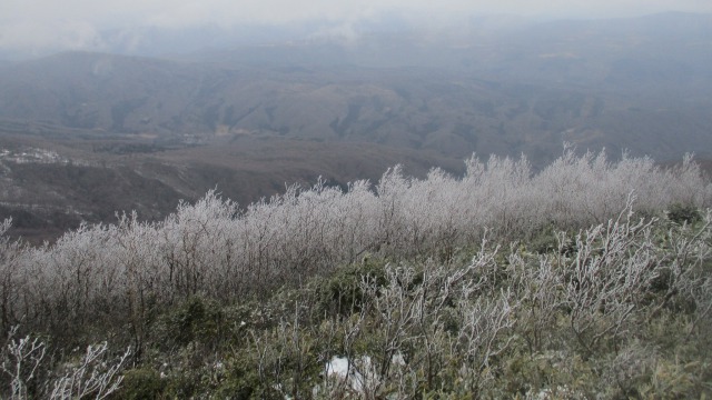 片葉山の樹霜640