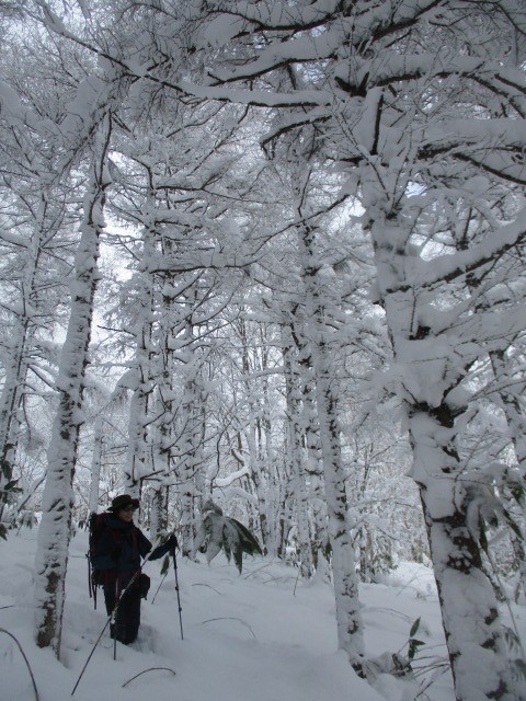 令和３年20210103岩神山640 (4)