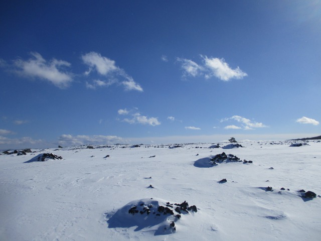 2021焼走り雪原640 (4)