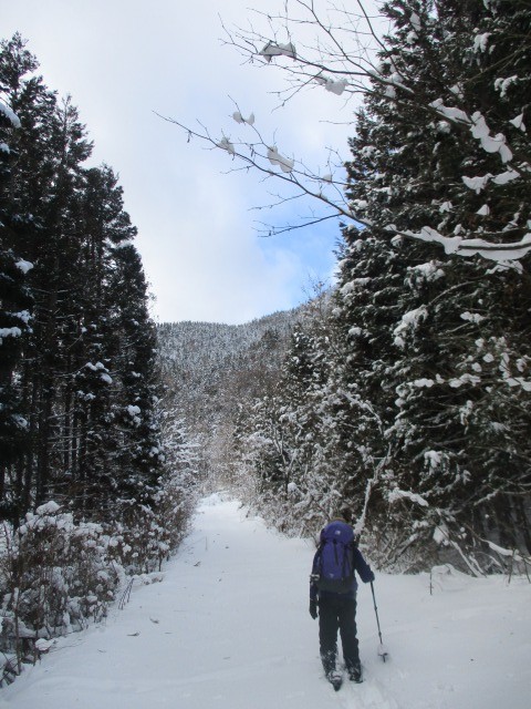 20210103男助山640 (3)