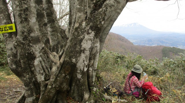 0501南昌山赤林山縦走640 (2)