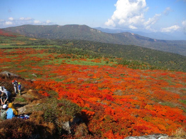 三ツ石山の紅葉絨毯640