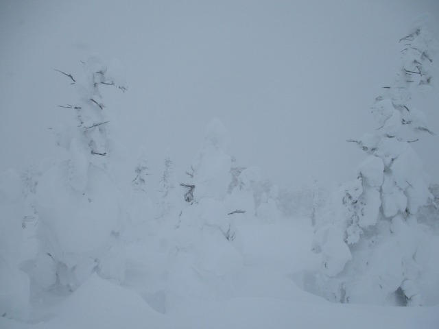 220323八幡平の樹氷640 (2)